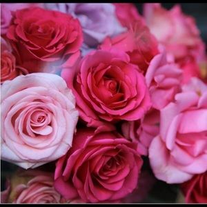 Meet your Posher, Ivana